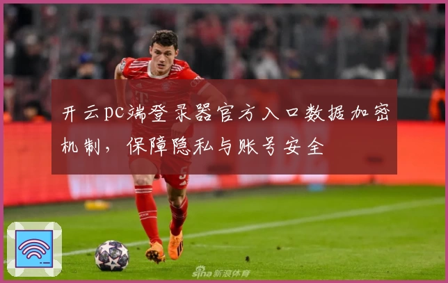 开云pc端登录器官方入口数据加密机制，保障隐私与账号安全