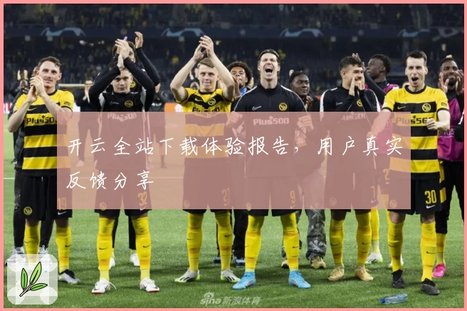 开云全站下载体验报告，用户真实反馈分享