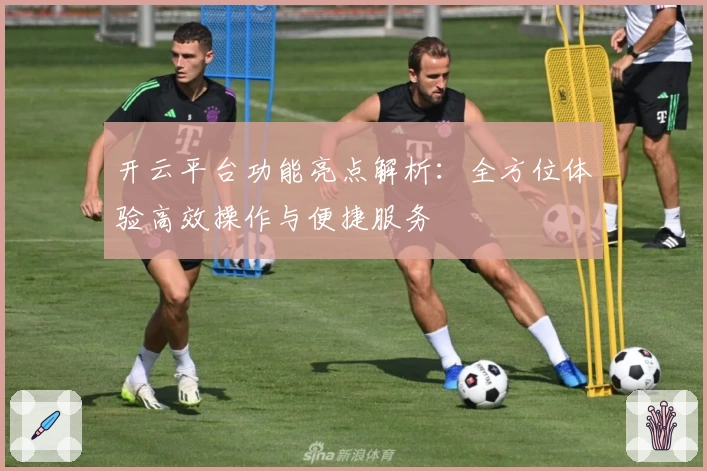开云平台功能亮点解析：全方位体验高效操作与便捷服务