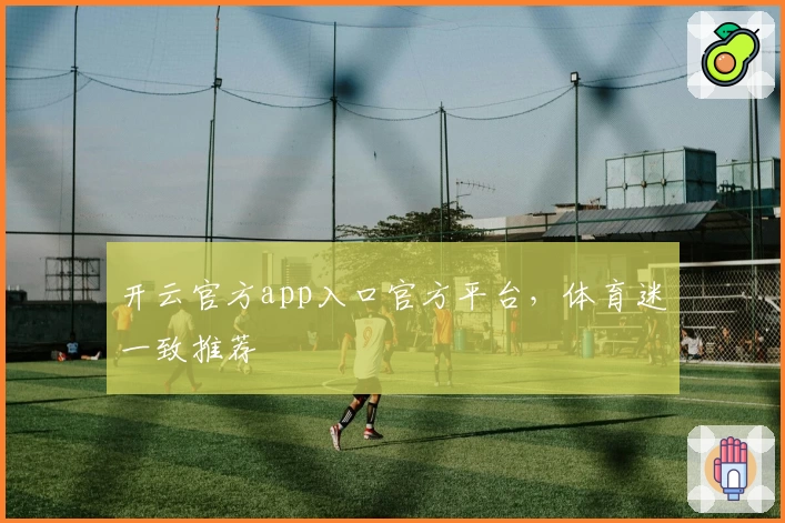 开云官方app入口官方平台，体育迷一致推荐