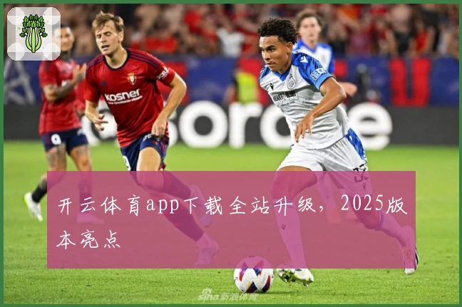 开云体育app下载全站升级，2025版本亮点